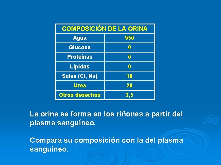 COMPOSICIÓN DE LA ORINA Agua 950 Glucosa 0 Proteínas 0 Lípidos 0 Sales (Cl,