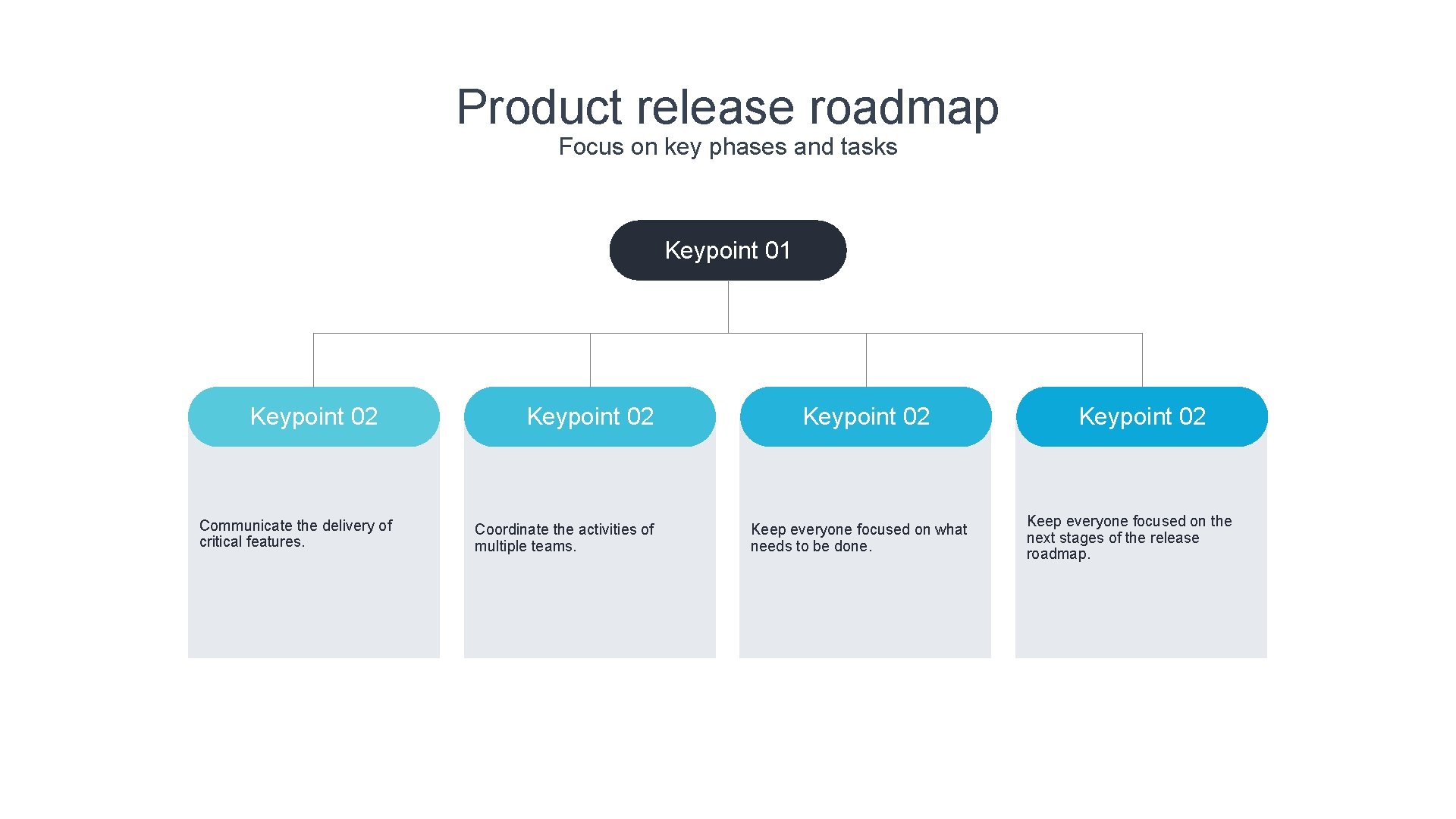 Product release roadmap Focus on key phases and tasks Keypoint 01 Keypoint 02 Communicate