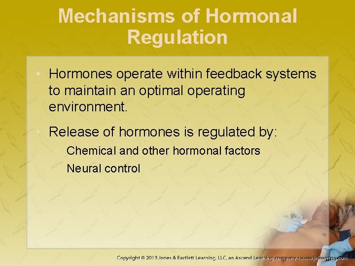 Mechanisms of Hormonal Regulation • Hormones operate within feedback systems to maintain an optimal