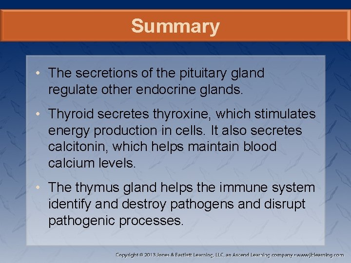 Summary • The secretions of the pituitary gland regulate other endocrine glands. • Thyroid