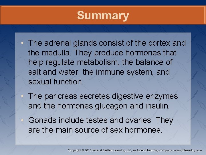 Summary • The adrenal glands consist of the cortex and the medulla. They produce