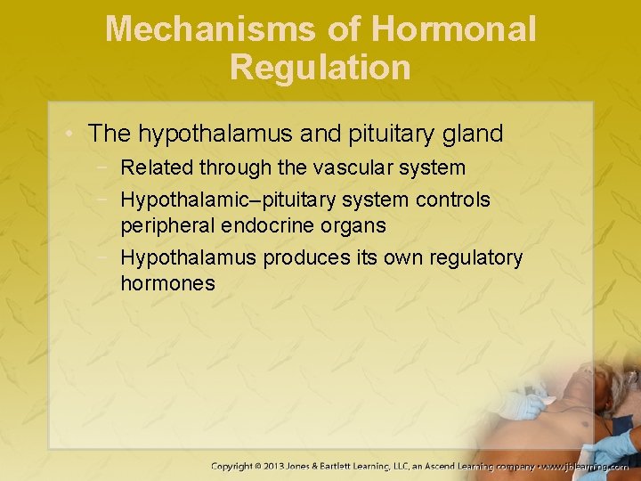 Mechanisms of Hormonal Regulation • The hypothalamus and pituitary gland − Related through the