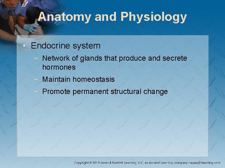 Anatomy and Physiology • Endocrine system − Network of glands that produce and secrete