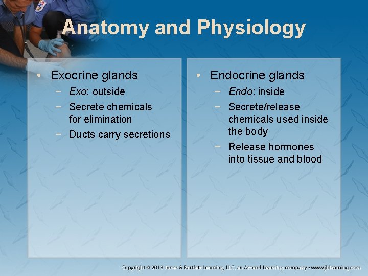 Anatomy and Physiology • Exocrine glands − Exo: outside − Secrete chemicals for elimination