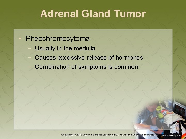Adrenal Gland Tumor • Pheochromocytoma − Usually in the medulla − Causes excessive release