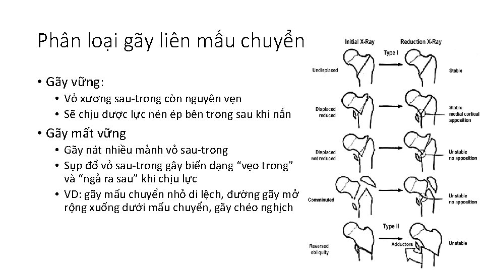 Gy U Trn g I S Babazadeh Gii