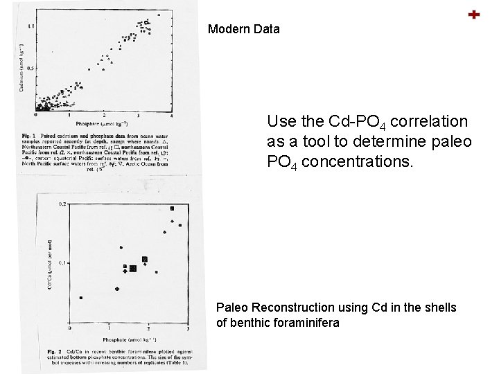 Modern Data Use the Cd-PO 4 correlation as a tool to determine paleo PO