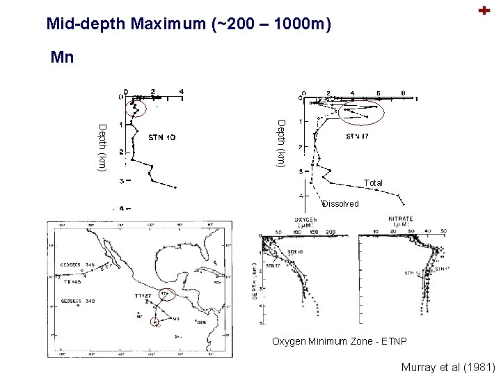 Mid-depth Maximum (~200 – 1000 m) Mn Depth (km) Total Dissolved Oxygen Minimum Zone