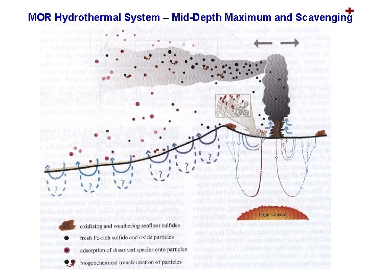 Lecture 3 Trace Elements in Seawater What are