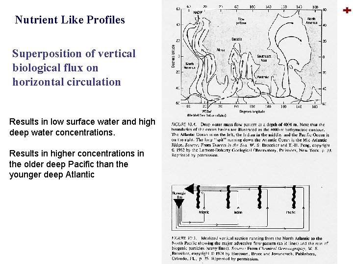 Nutrient Like Profiles Superposition of vertical biological flux on horizontal circulation Results in low