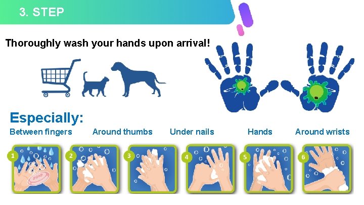 3. STEP Thoroughly wash your hands upon arrival! Especially: Between fingers Around thumbs Under