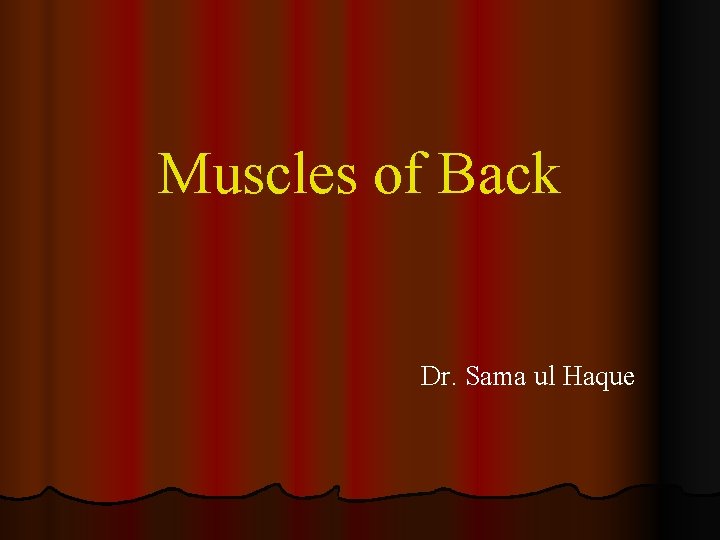 Muscles of Back Dr. Sama ul Haque 