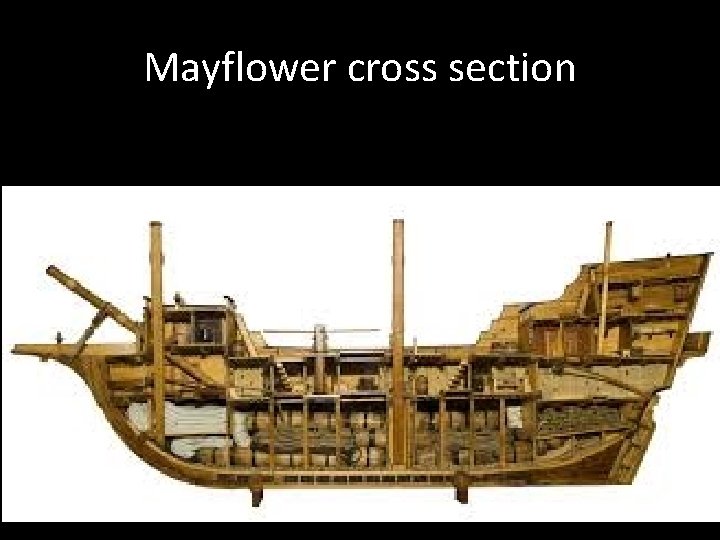 Mayflower cross section 