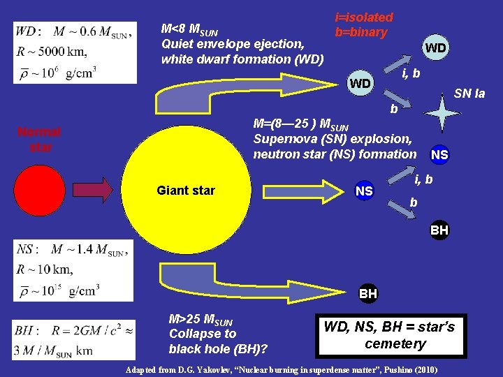 M<8 MSUN Quiet envelope ejection, white dwarf formation (WD) i=isolated b=binary WD i, b