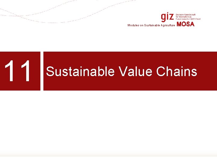 Modules on Sustainable Agriculture 11 MOSA Sustainable Value Chains 