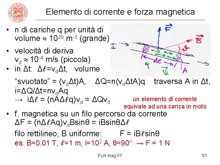 Elemento di corrente e forza magnetica • n di cariche q per unità di