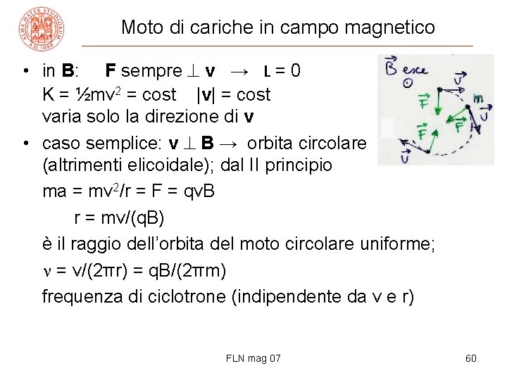 Moto di cariche in campo magnetico • in B: F sempre v → L