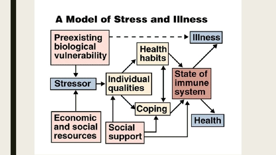 WHAT IS STRESS ITS IMPACT ON HEALTH Jim
