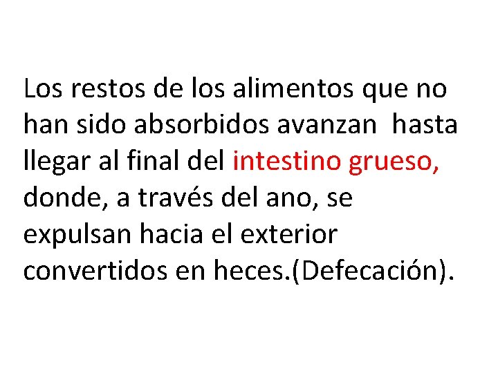 Los restos de los alimentos que no han sido absorbidos avanzan hasta llegar al