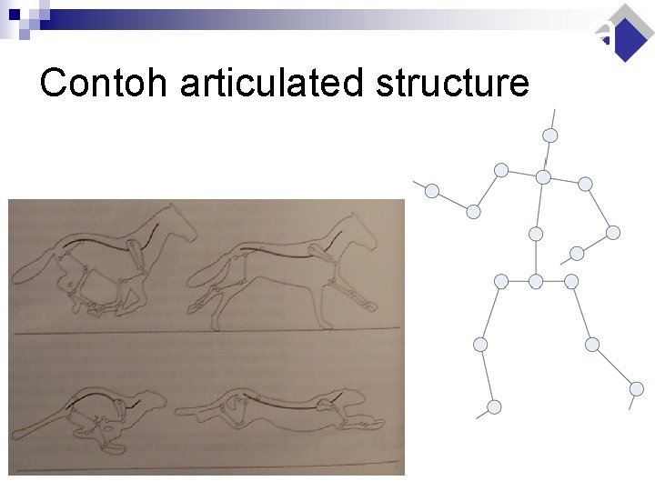 Contoh articulated structure 