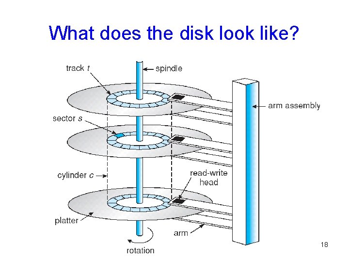 What does the disk look like? 18 What does the disk look like? 18