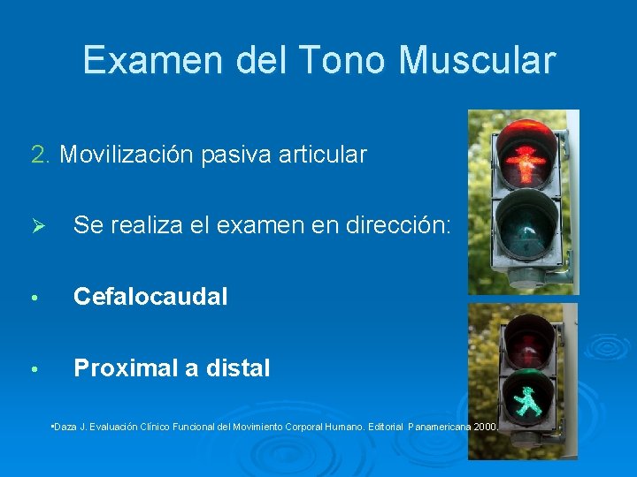 Examen del Tono Muscular 2. Movilización pasiva articular Ø Se realiza el examen en