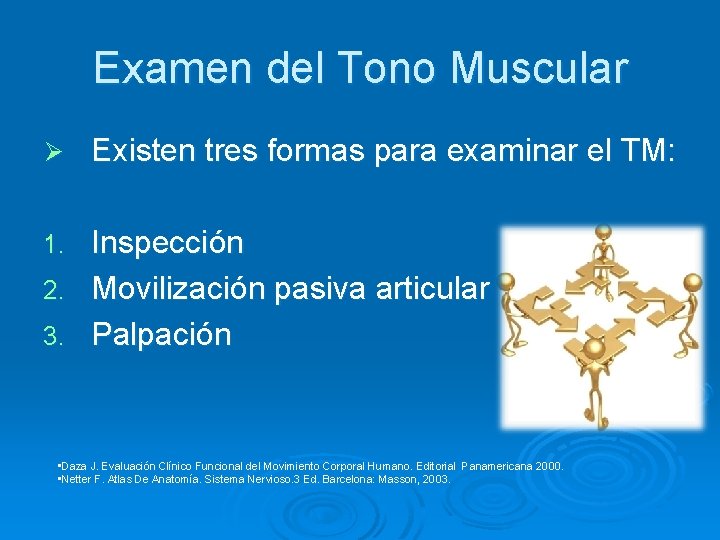 Examen del Tono Muscular Ø Existen tres formas para examinar el TM: Inspección 2.