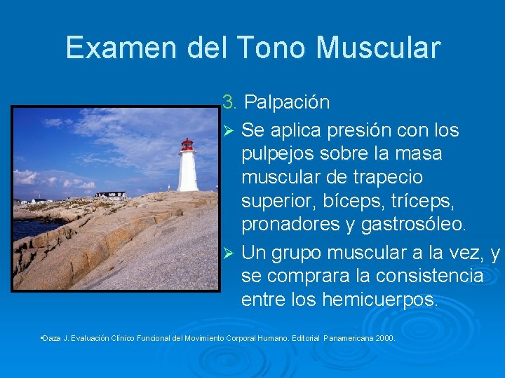 Examen del Tono Muscular 3. Palpación Ø Se aplica presión con los pulpejos sobre