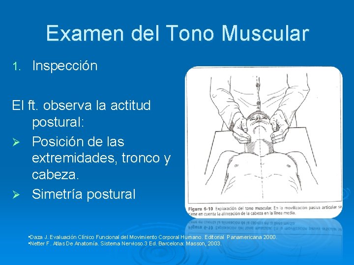 Examen del Tono Muscular 1. Inspección El ft. observa la actitud postural: Ø Posición