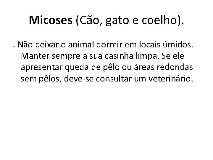 Micoses (Cão, gato e coelho). . Não deixar o animal dormir em locais úmidos.