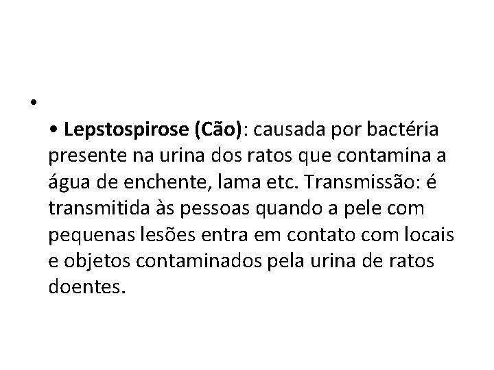  • • Lepstospirose (Cão): causada por bactéria presente na urina dos ratos que