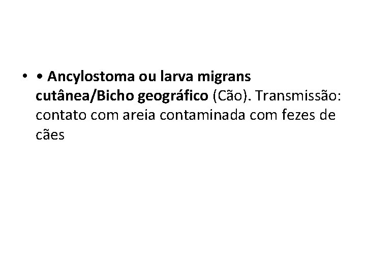  • • Ancylostoma ou larva migrans cutânea/Bicho geográfico (Cão). Transmissão: contato com areia