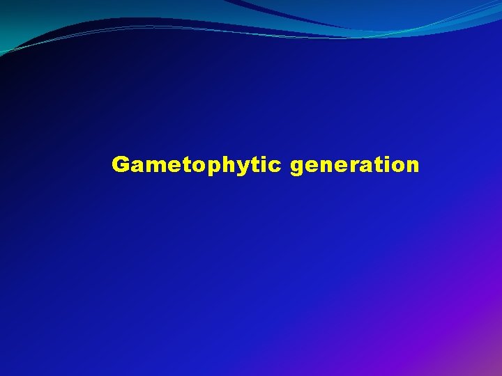 Gametophytic generation 