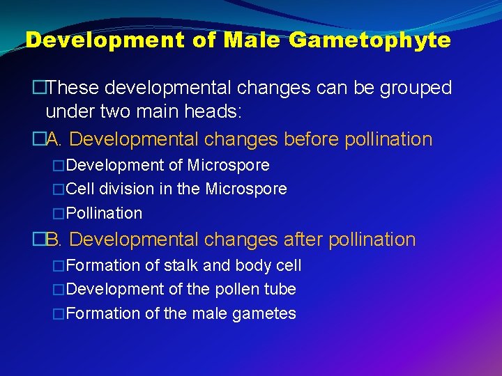 Development of Male Gametophyte �These developmental changes can be grouped under two main heads: