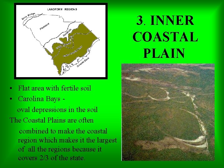 3. INNER COASTAL PLAIN • Flat area with fertile soil • Carolina Bays oval