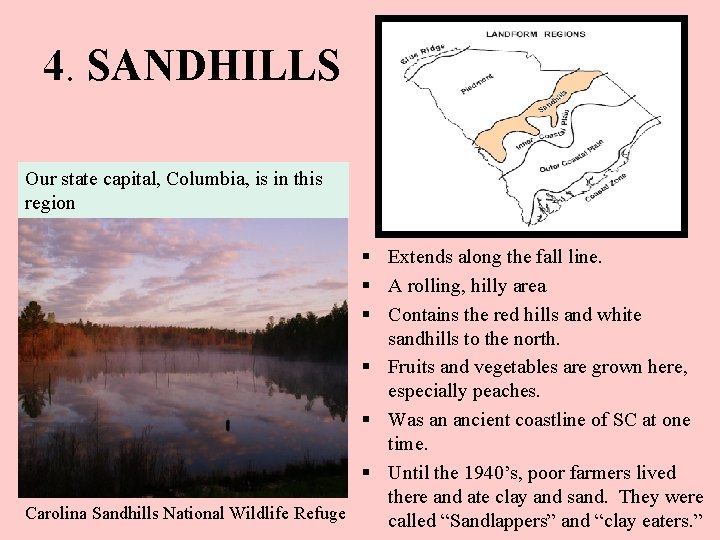 4. SANDHILLS Our state capital, Columbia, is in this region § Extends along the