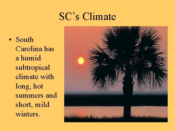 SC’s Climate • South Carolina has a humid subtropical climate with long, hot summers