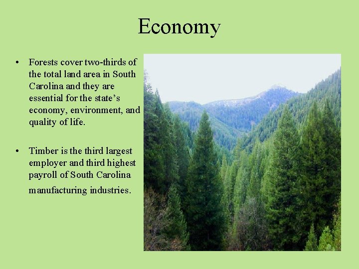 Economy • Forests cover two-thirds of the total land area in South Carolina and