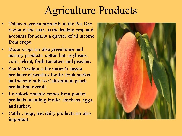 Agriculture Products • Tobacco, grown primarily in the Pee Dee region of the state,