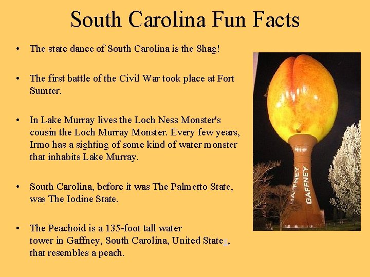 South Carolina Fun Facts • The state dance of South Carolina is the Shag!