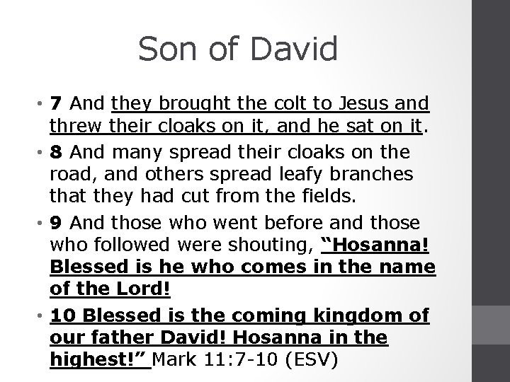 Son of David • 7 And they brought the colt to Jesus and threw