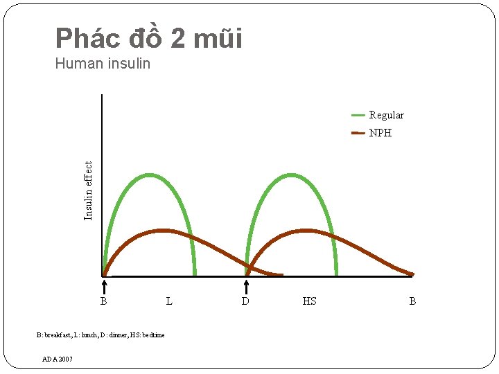 Phác đồ 2 mũi Human insulin Regular Insulin effect NPH B B: breakfast, L: