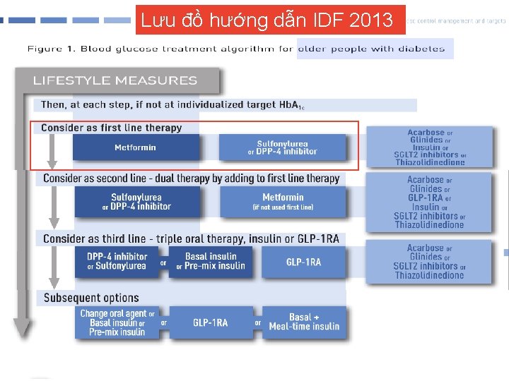 Lưu đồ hướng dẫn IDF 2013 