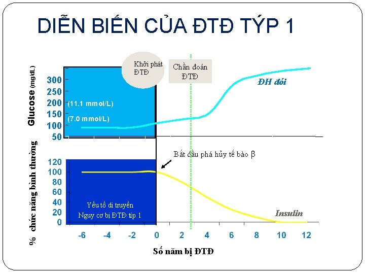 % chức năng bình thường Glucose (mg/d. L) DIỄN BIẾN CỦA ĐTĐ TÝP 1