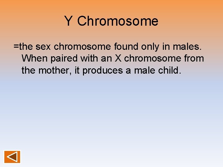 Y Chromosome =the sex chromosome found only in males. When paired with an X