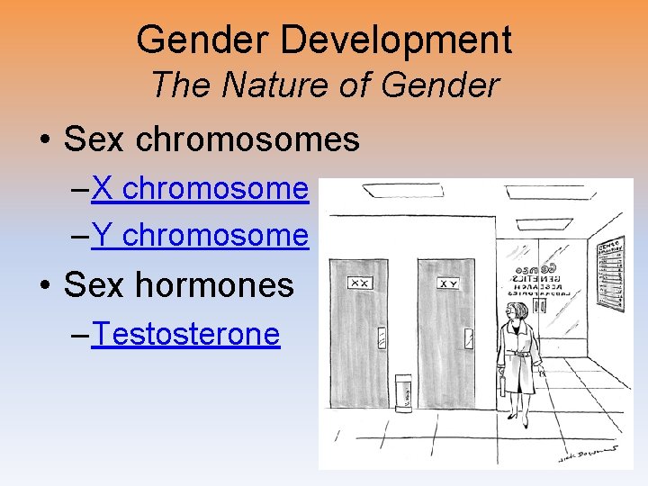 Gender Development The Nature of Gender • Sex chromosomes – X chromosome – Y
