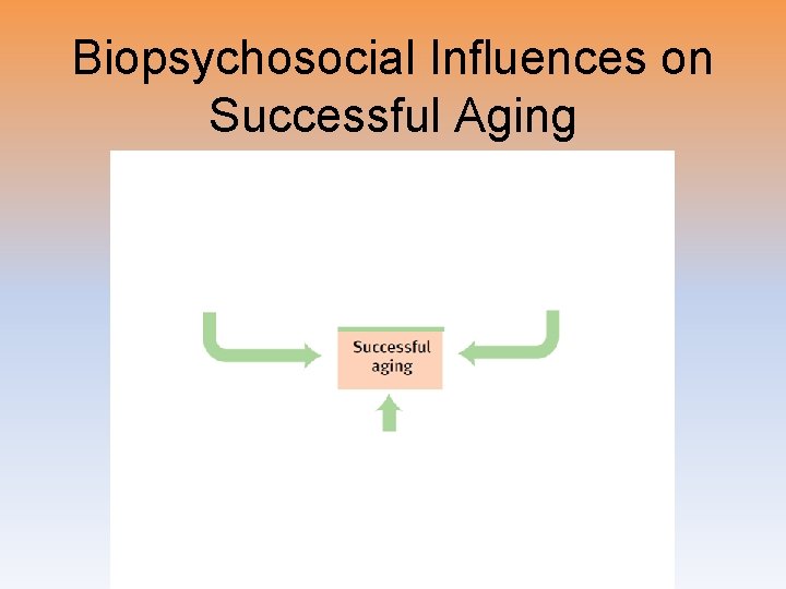 Biopsychosocial Influences on Successful Aging 