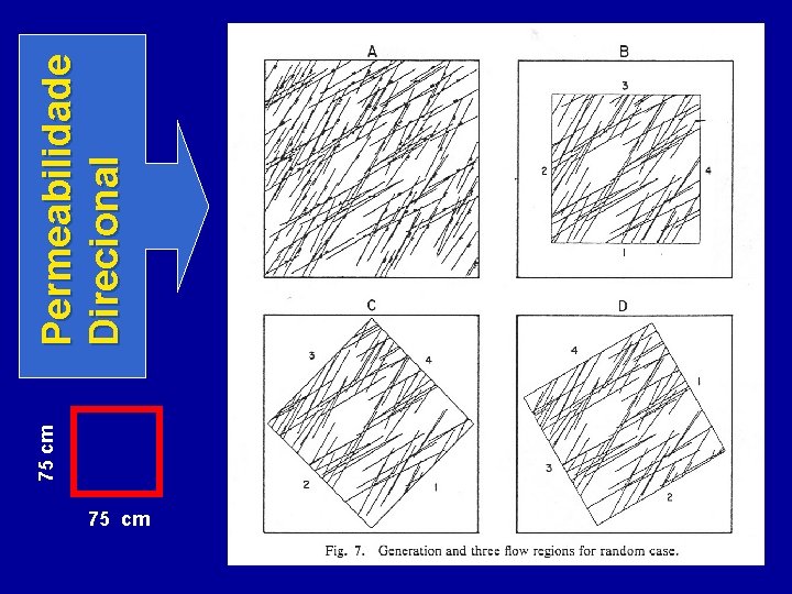 75 cm Permeabilidade Direcional 