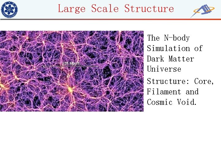 Large Scale Structure • The N-body Simulation of Dark Matter Universe • Structure: Core,