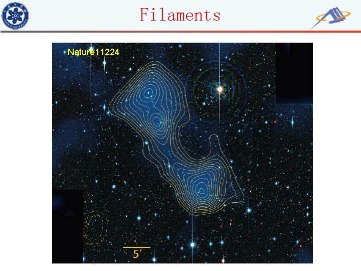 Filaments Nature 11224 